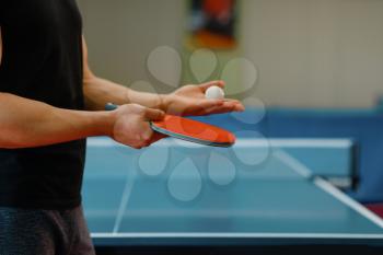 Male person hands with ping pong racket and ball, workout indoors. Man in sportswear standing at the table with net, training in table-tennis club