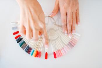 Female customer hands and colorful nail varnish palette in beauty shop. Professional manicure and pedicure service, hands and legs treatment, client in beautician salon, woman at the manicurist