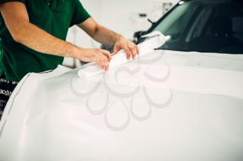 Professional automobile paint protection film installation process. Worker hands prepares protect coating against chips and scratches
