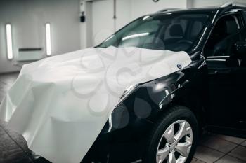 Car paint protection film, hood protect against chips and scratches, nobody