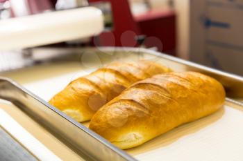 Professional bakery equipment, bread conveyor machine. Food preparing, technology line
