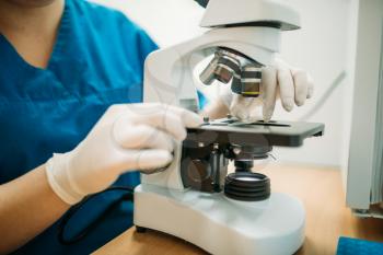 Veterinarian looks through a microscope at the samples of animal tests in veterinary clinic. Working with analyzes in vet laboratory 