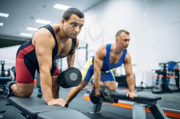 Two male weightlifters doing exercise on bench with dumbbell, gym interior on background. Weightlifting workout in sport or fitness club