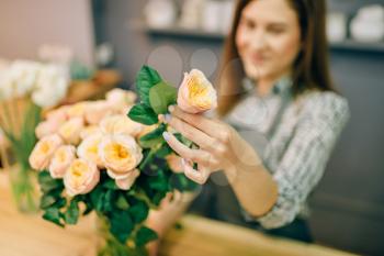 Female florist in apron puts fresh roses in a vase in flower shop, floral business concept