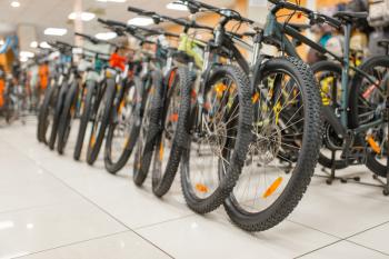 Rows of mountain bicycles in sports shop, nobody. Summer active leisure, showcase with bikes, cycle sale