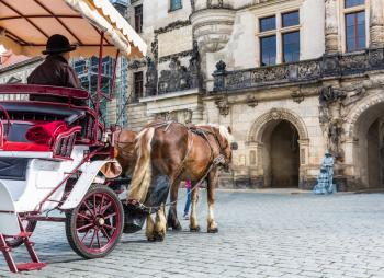Tour wagon with a horse in old European town. Summer tourism and travels, famous europe landmark, popular places and streets