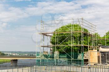 Restoration and shaping of old tree in european city. Plant in scaffolding, people care about nature