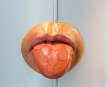 Anatomical plastic model of human tongue and lips. Medical stand, education concept