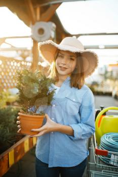 Female customer buying flower in a pot, shop for floristry. Woman choosing equipment in store for floriculture, florist instrument purchasing, gardening hobby
