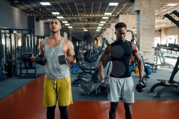 Two muscular men doing exercise with dumbbell on training in gym. Workout in sport club, healthy lifestyle
