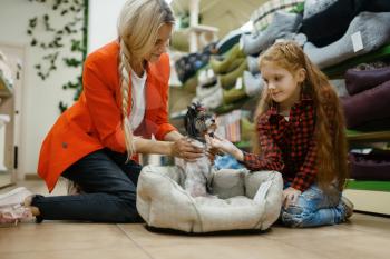 Mother with daughter choosing dog bed for little dog in pet store. Woman and little child buying equipment in petshop, accessories for domestic animals