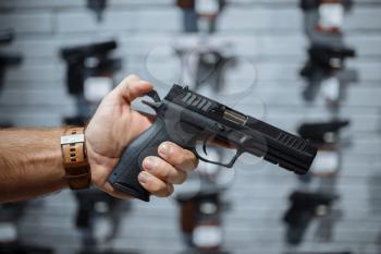Man choosing new handgun at showcase in gun shop. Male person buying pistol for security in weapon store, selfdefence and sport shooting hobby