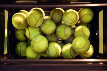 Basket with big tennis balls, top view, nobody, green court cover on background. Active healthy lifestyle, sport game with racket concept