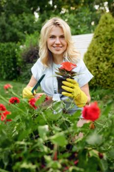 Happy young woman in gloves works with flower in the garden. Female gardener takes care of plants outdoor, gardening hobby, florist lifestyle