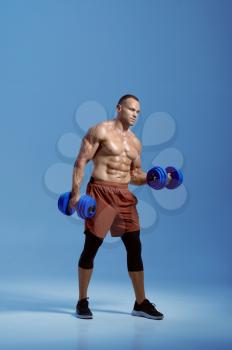 Male muscular athlete holds dumbbells in studio, blue background. One man with athletic build, shirtless sportsman in sportswear, active healthy lifestyle
