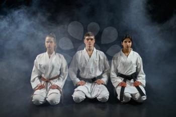 Female karate fighters and master in white kimono, group training, dark smoky background. Karatekas on workout, martial arts, fighting competition