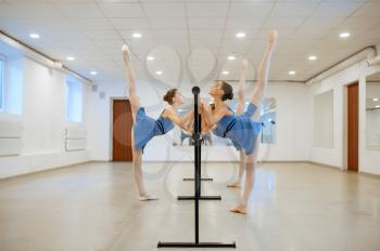 Two young ballerinas rehearsing at the barre in class. Ballet school, female dancers on choreography lesson, girls practicing grace dance