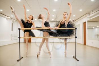 Elegant teen ballerinas poses at the barre in class. Ballet school, female dancers on choreography lesson, girls practicing grace dance