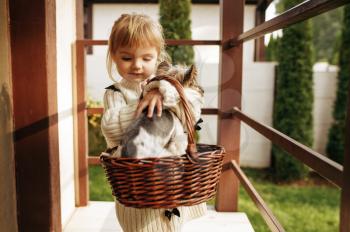 Kid with funny dog in basket are sitting on the stairs in country house. Child with puppy poses on backyard. Little girl and her pet having fun on playground outdoors, happy childhood