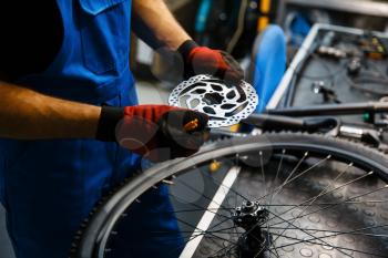 Bicycle repair in workshop, man fixing brake disk. Mechanic in uniform fix problems with cycle, professional bike repairing service