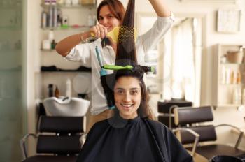 Hairdresser curls and combs woman's hair, hairdressing salon. Stylist and client in hairsalon. Beauty business, professional service