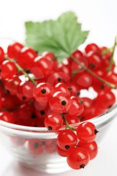 Sprigs of fresh red currant in a bowl