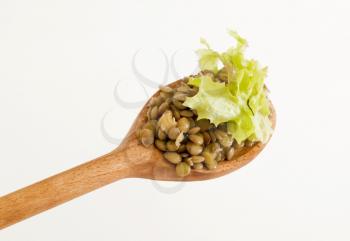 Cooked lentils on a wooden spoon