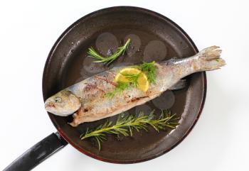 Grilled trout on a frying pan