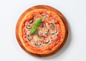 Pizza with mushrooms and mozzarella