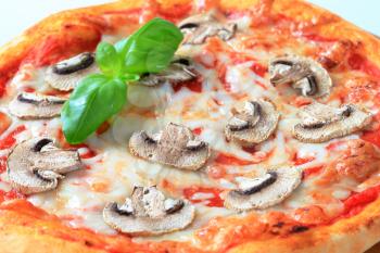 Pizza with mushrooms and mozzarella