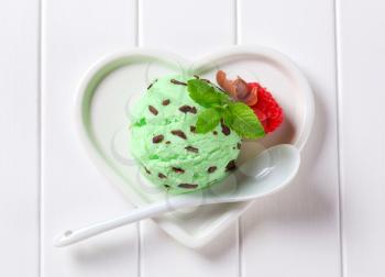 Scoop of mint chocolate chip ice cream