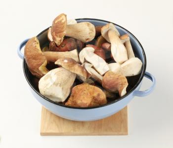 Freshly picked edible mushrooms in a pan