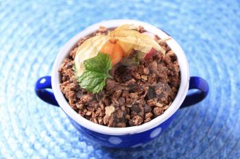 Bowl of chocolate granola cereal