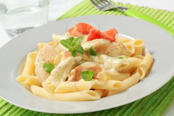 Pasta tubes, chicken meat and cream sauce