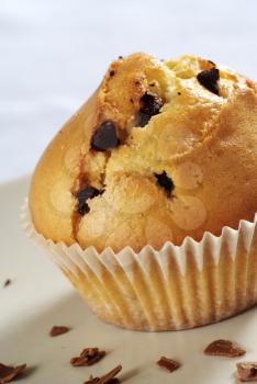 Detail of Chocolate chip muffin