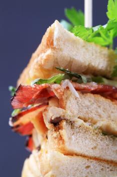 Macro shot of a fresh club sandwich 