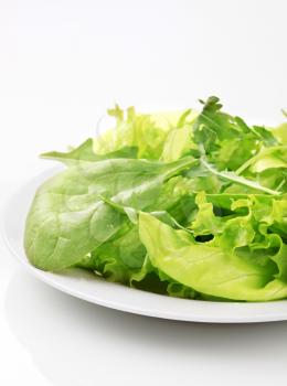 Variety of salad greens on a plate