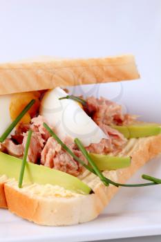 Tuna sandwich with avocado and boiled egg