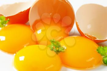 Four fresh egg yolks and eggshell