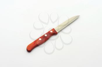 Vegetable knife with laminated wood handle