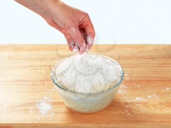 Fresh yeast dough in a bowl