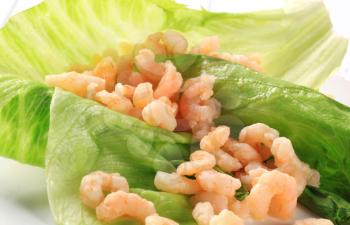 Cooked shrimps on lettuce leaves