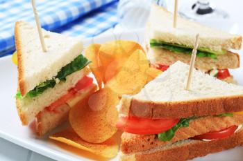 Vegetable double decker sandwiches and spicy crisps