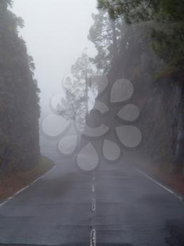 Road to Mount Teide in mist, Tenerife, Canary Islands
