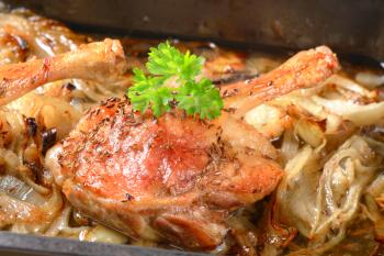 Detail of roast duck legs with caraway and onion
