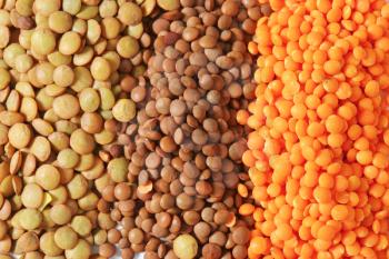 Studio shot of lentil varieties