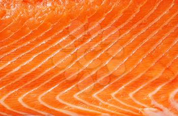 Full frame background of raw salmon 