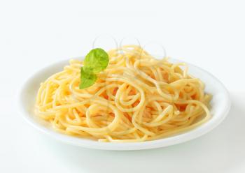Studio shot of boiled spaghetti on plate