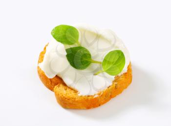 Small round toast with cheese spread