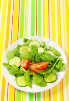 Fresh rocket salad with sliced cucumber